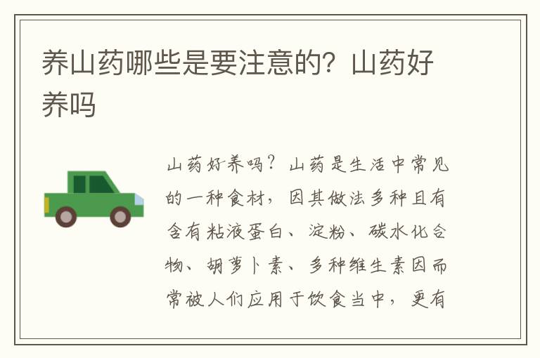 养山药哪些是要注意的？山药好养吗