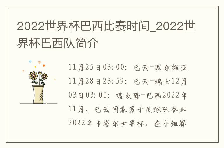 2022世界杯巴西比赛时间_2022世界杯巴西队简介