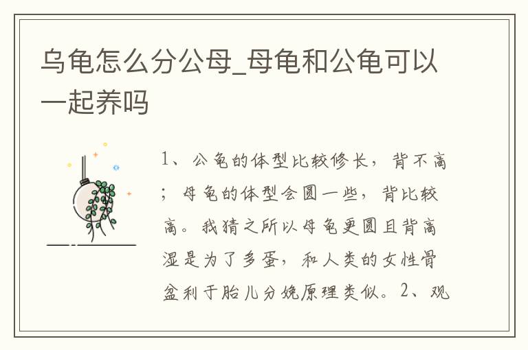 乌龟怎么分公母_母龟和公龟可以一起养吗