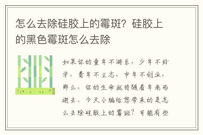 怎么去除硅胶上的霉斑？硅胶上的黑色