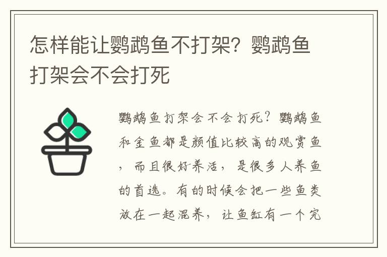 怎样能让鹦鹉鱼不打架？鹦鹉鱼打架会不会打死