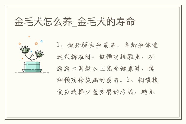 金毛犬怎么养_金毛犬的寿命