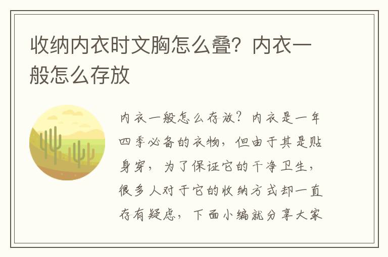 收纳内衣时文胸怎么叠？内衣一般怎么存放