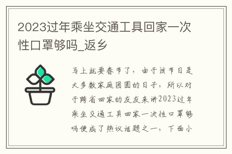 2023过年乘坐交通工具回家一次性口