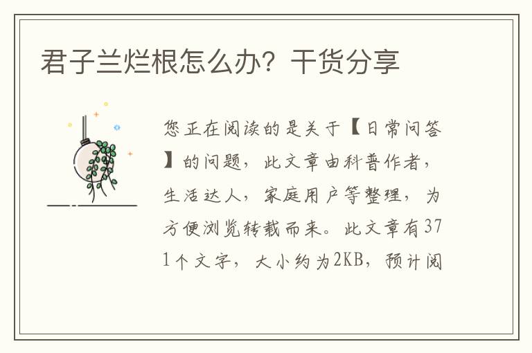 君子兰烂根怎么办？干货分享