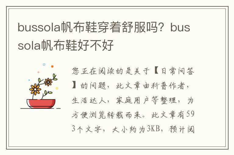 bussola帆布鞋穿着舒服吗？bussola帆布鞋好不好