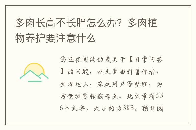 多肉长高不长胖怎么办？多肉植物养护要注意什么