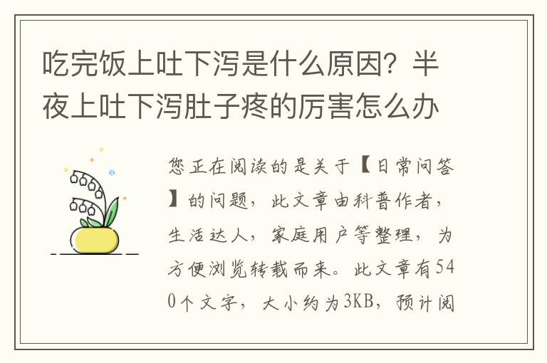 吃完饭上吐下泻是什么原因？半夜上吐下泻肚子疼的厉害怎么办