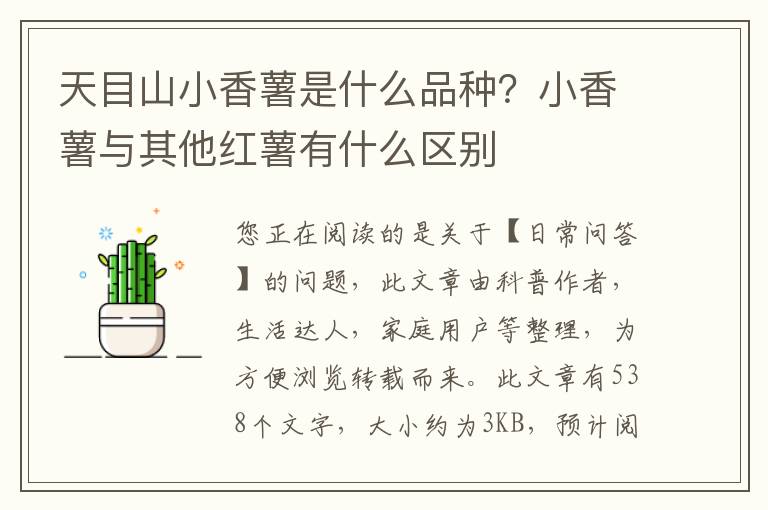 天目山小香薯是什么品种？小香薯与其他红薯有什么区别