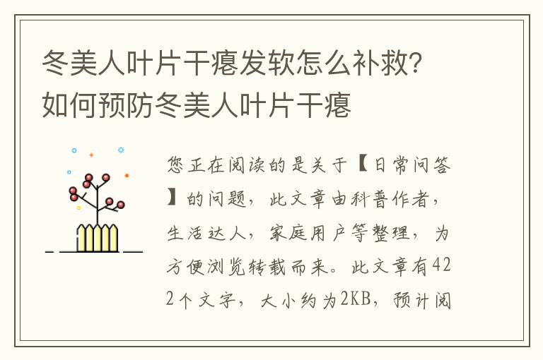 冬美人叶片干瘪发软怎么补救？如何预防冬美人叶片干瘪