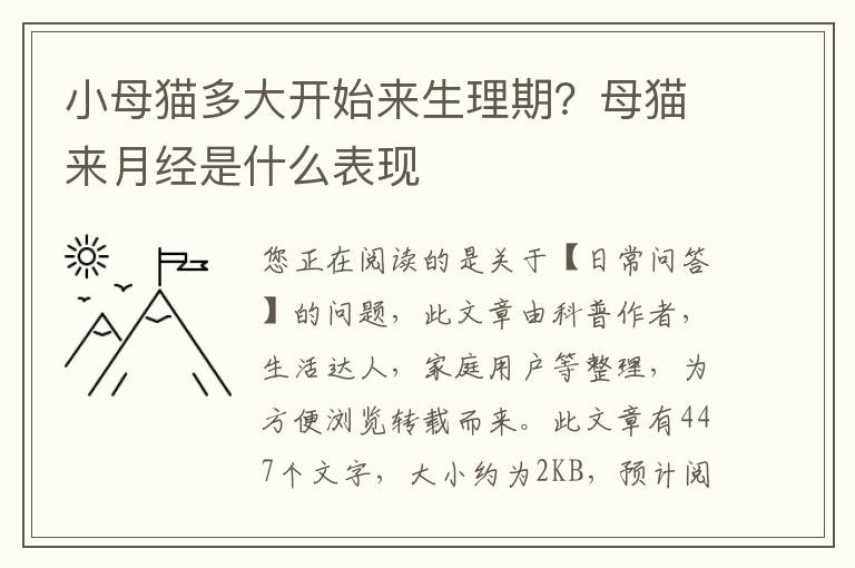 小母猫多大开始来生理期？母猫来月经是什么表现