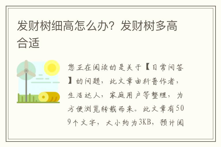 发财树细高怎么办？发财树多高合适