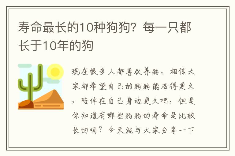 寿命最长的10种狗狗？每一只都长于10年的狗