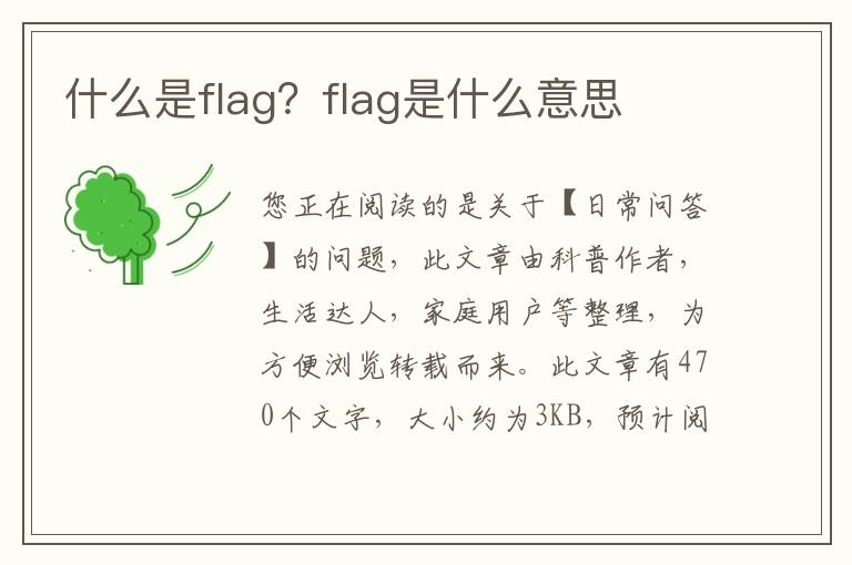 什么是flag？flag是什么意思