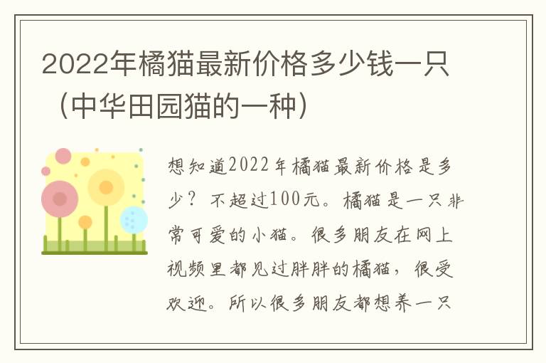 2022年橘猫最新价格多少钱一只（中华田园猫的一种）