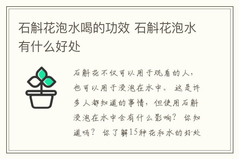 石斛花泡水喝的功效 石斛花泡水有什么好处