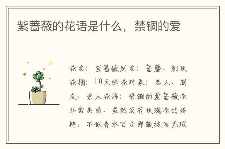 紫蔷薇的花语是什么，禁锢的爱