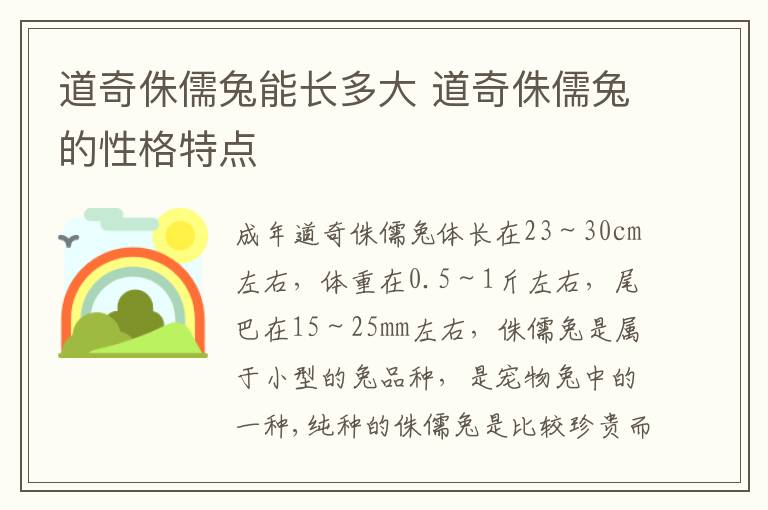 道奇侏儒兔能长多大 道奇侏儒兔的性格特点