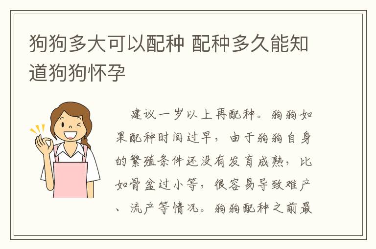 狗狗多大可以配种 配种多久能知道狗狗怀孕