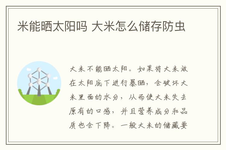 米能晒太阳吗 大米怎么储存防虫