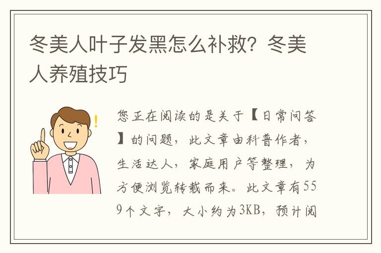 冬美人叶子发黑怎么补救？冬美人养殖技巧