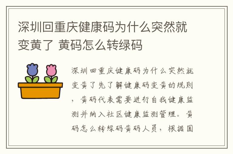 深圳回重庆健康码为什么突然就变黄了 黄码怎么转绿码