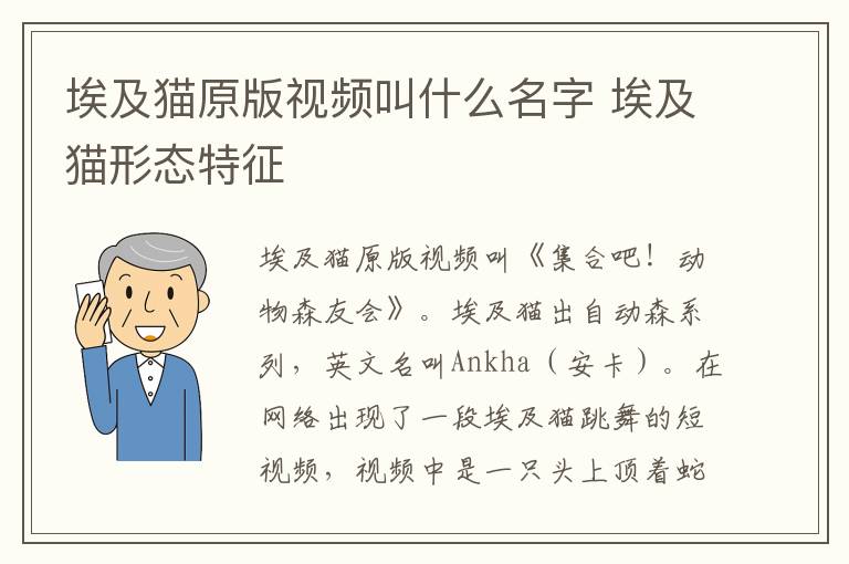 埃及猫原版视频叫什么名字 埃及猫形态特征