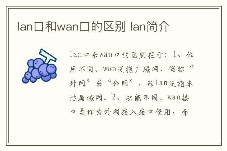 lan口和wan口的区别 lan简介