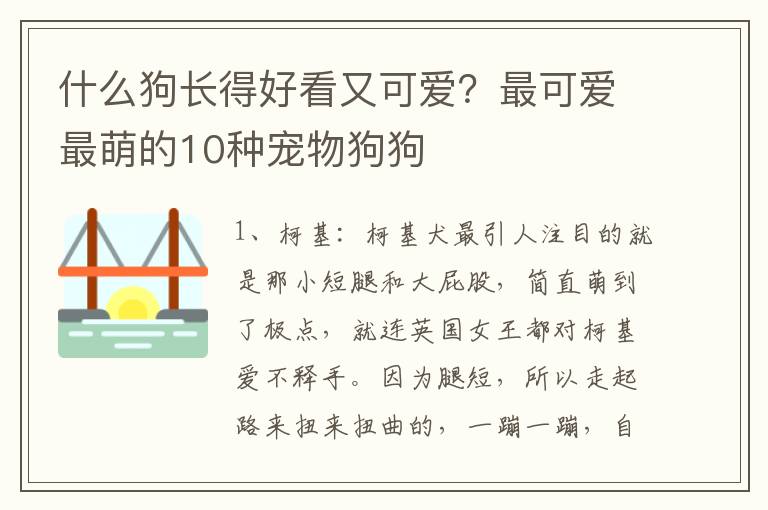 什么狗长得好看又可爱？最可爱最萌的10种宠物狗狗