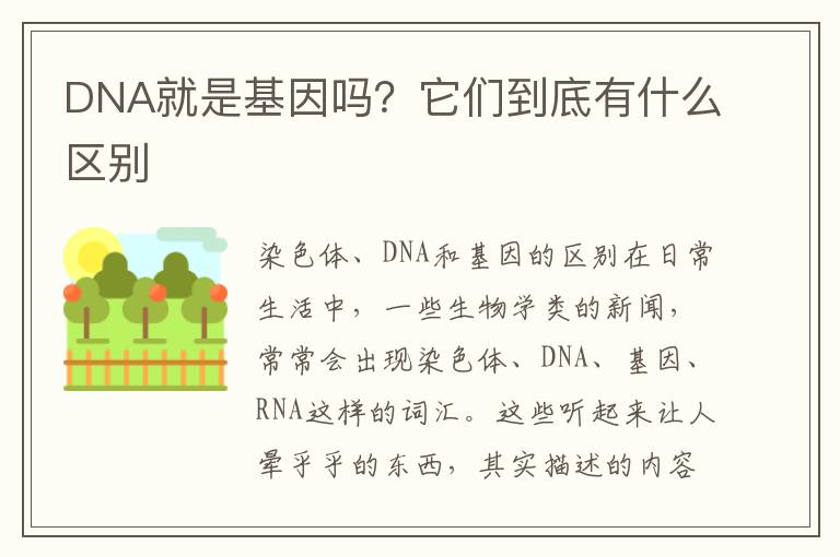 DNA就是基因吗？它们到底有什么区别