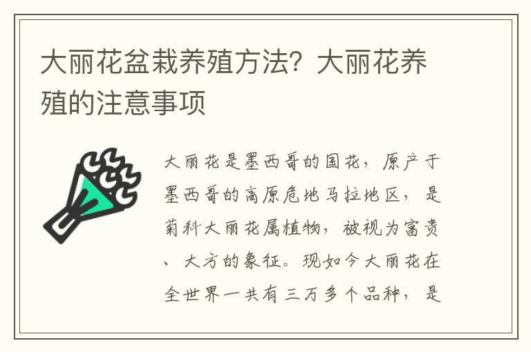 大丽花盆栽养殖方法？大丽花养殖的注意事项