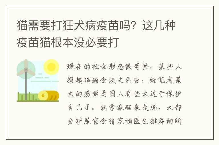 猫需要打狂犬病疫苗吗？这几种疫苗猫根本没必要打