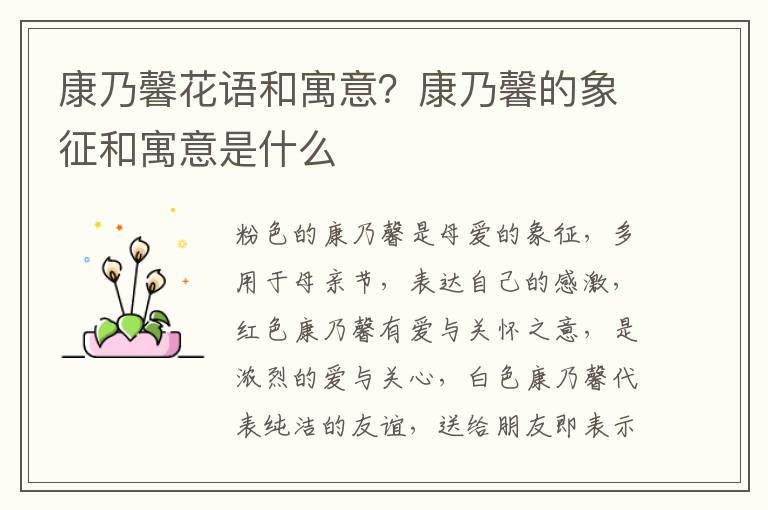 康乃馨花语和寓意？康乃馨的象征和寓意是什么