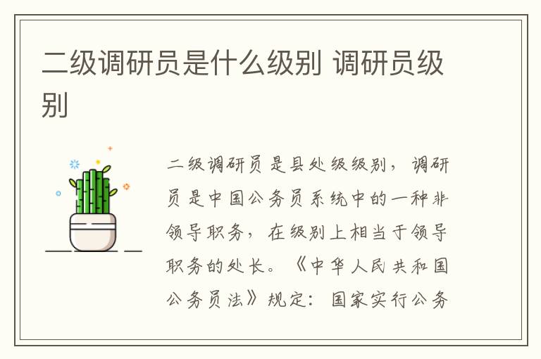 二级调研员是什么级别 调研员级别