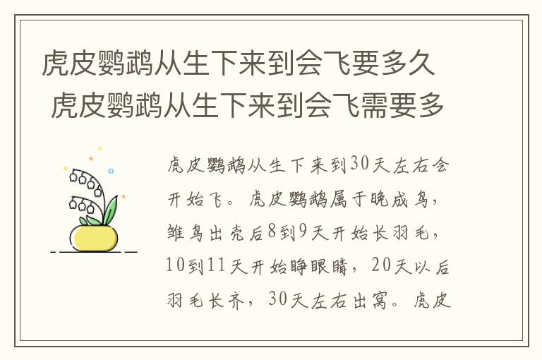 虎皮鹦鹉从生下来到会飞要多久 虎皮鹦鹉从生下来到会飞需要多久