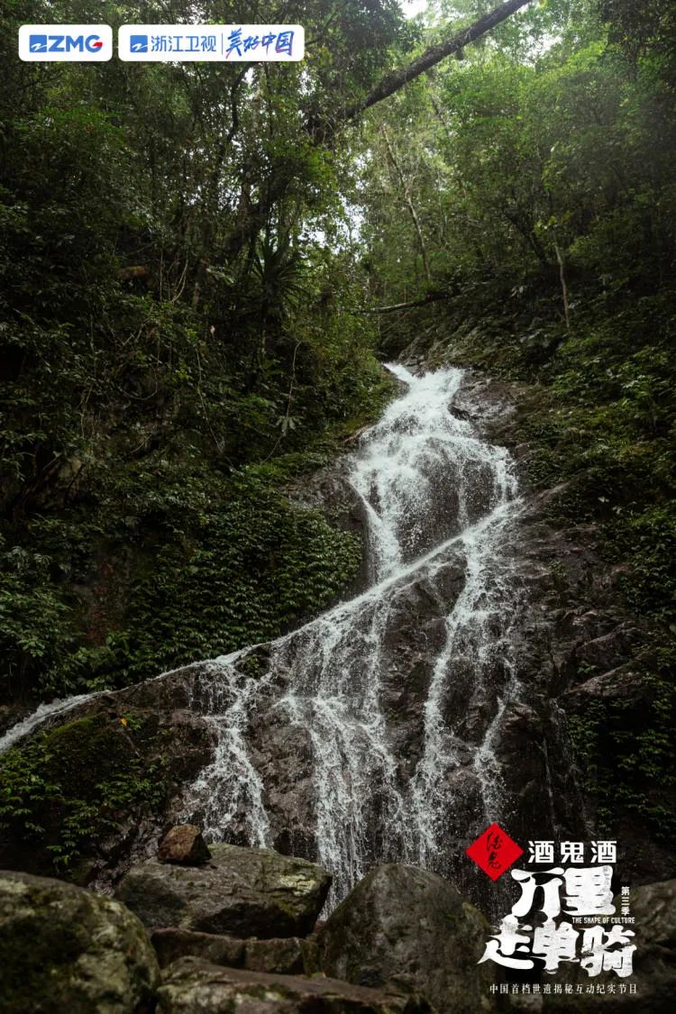 《万里3》走进海南·五指山 周韵水哥夜访雨林珍稀动物