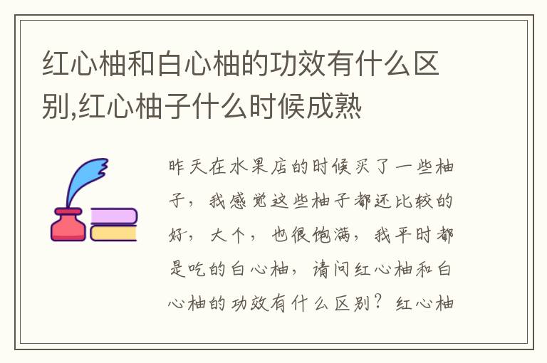 红心柚和白心柚的功效有什么区别,红心柚子什么时候成熟