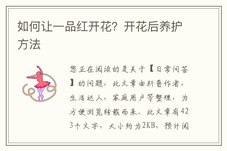 如何让一品红开花？开花后养护方法