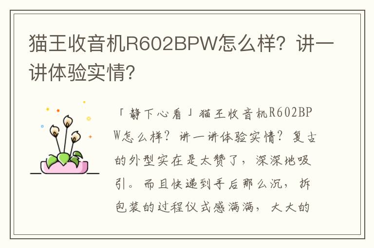 猫王收音机R602BPW怎么样？讲一讲体验实情？