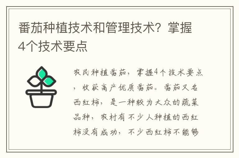 番茄种植技术和管理技术？掌握4个技术要点