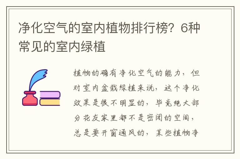 净化空气的室内植物排行榜？6种常见的室内绿植