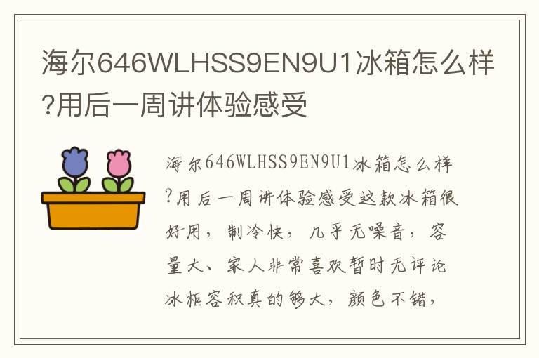 海尔646WLHSS9EN9U1冰箱怎么样?用后一周讲体验感受