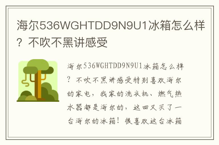 海尔536WGHTDD9N9U1冰箱怎么样？不吹不黑讲感受