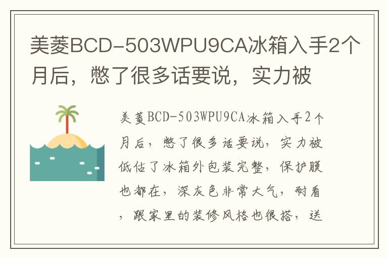 美菱BCD-503WPU9CA冰箱入手2个月后，憋了很多话要说，实力被低估了