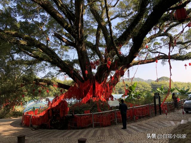 广东自驾游最佳路线图？广东这条绝美的自驾路线