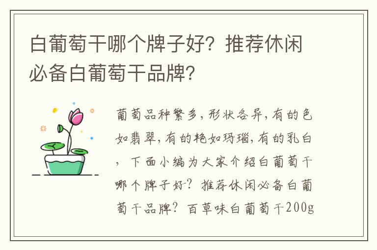 白葡萄干哪个牌子好？推荐休闲必备白葡萄干品牌？