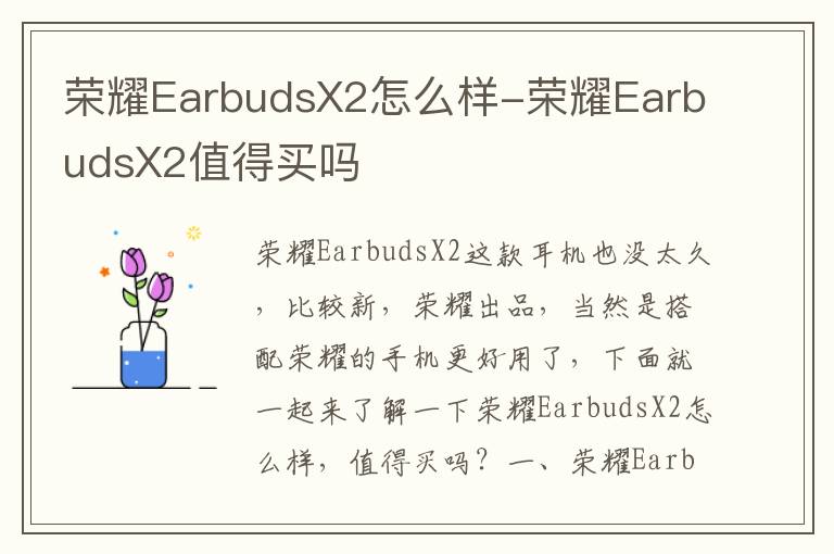 荣耀EarbudsX2怎么样-荣耀EarbudsX2值得买吗