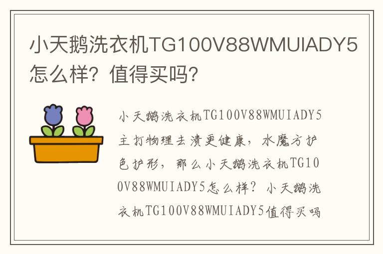 小天鹅洗衣机TG100V88WMUIADY5怎么样？值得买吗？