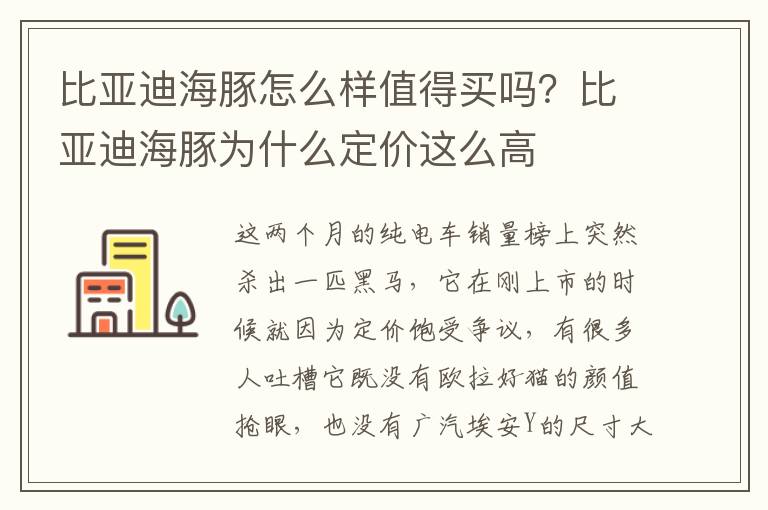 比亚迪海豚怎么样值得买吗？比亚迪海豚为什么定价这么高