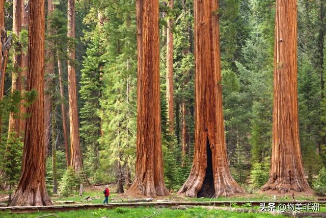 世界上最漂亮的旅游景点？2022年世界最美的51个地方